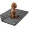 Show in main carousel: PetAmi Waterproof Dog Blanket, Gray & Gray Sherpa, 50 x 40-in slide 1 of 11