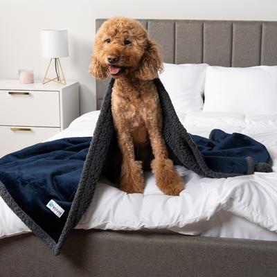 Show full view: PetAmi Waterproof Dog Blanket, Navy & Gray Sherpa, 60 x 40-in slide 6 of 11