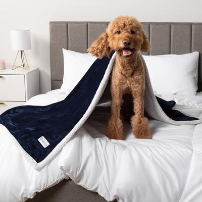 Show full view: PetAmi Waterproof Dog Blanket, White & Blue, Medium slide 6 of 11