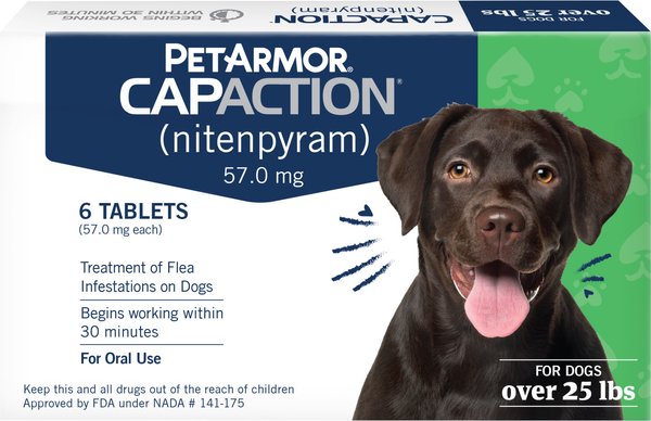 Flea Pills Pet Armor Preventative Flea Treatment For Dogs PetArmor