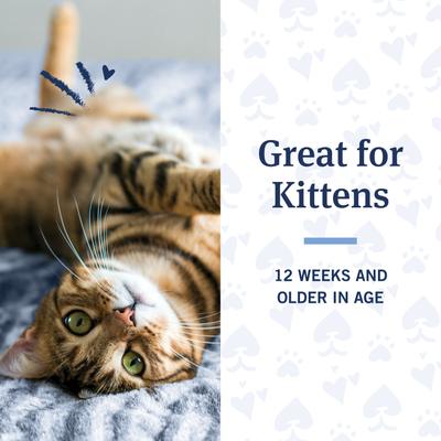 Show full view: PetArmor Coconut Berry Scented Flea & Tick Shampoo for Cats, 12-fl oz bottle slide 6 of 7