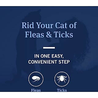 PetArmor Coconut Berry Scented Flea & Tick Shampoo for Cats, 12-fl oz bottle slide 4 of 6
