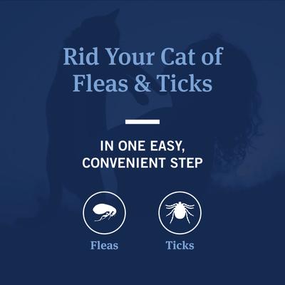 Show full view: PetArmor Coconut Berry Scented Flea & Tick Shampoo for Cats, 12-fl oz bottle slide 4 of 7