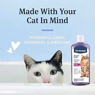 PetArmor Coconut Berry Scented Flea & Tick Shampoo for Cats, 12-fl oz bottle slide 3 of 6