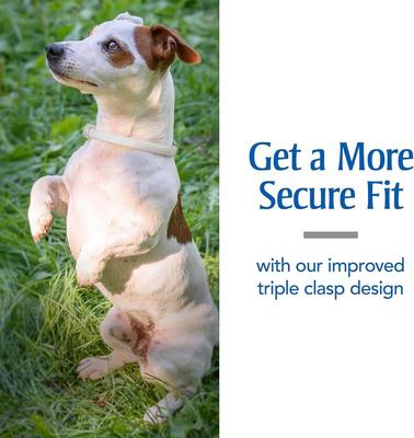 Show full view: PetArmor Flea & Tick Dog Collar, 1 collar (6-mos. supply) slide 5 of 6