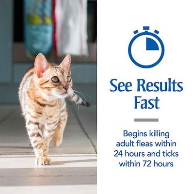 Show full view: PetArmor Flea & Tick Spot Treatment for Cats, over 1.5 lbs, 3 Doses (3-mos. supply) slide 4 of 11