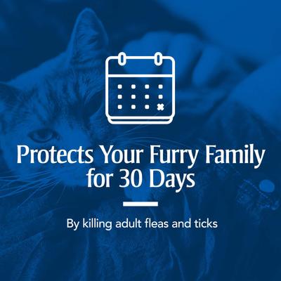 Show full view: PetArmor Flea & Tick Spot Treatment for Cats, over 1.5 lbs, 6 doses (6-mos. supply) slide 4 of 10