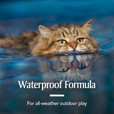 Show full view: PetArmor Flea & Tick Spot Treatment for Cats, over 1.5 lbs, 6 doses (6-mos. supply) slide 6 of 10