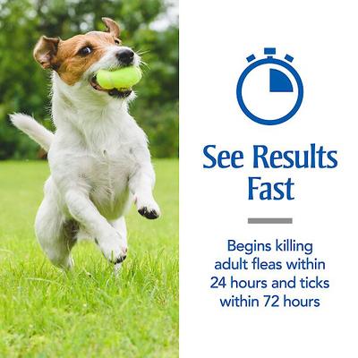 Show full view: PetArmor Flea & Tick Spot Treatment for Dogs, 45-88 lbs, 3 Doses (3-mos. supply) slide 4 of 9