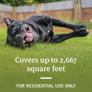 PetArmor Home Yard & Premise Flea & Tick Spray Treatment, 32-fl oz bottle