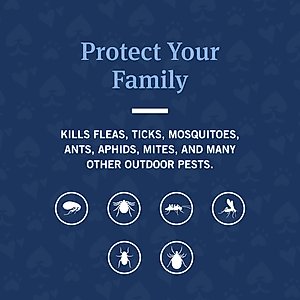 PetArmor Home Yard & Premise Flea & Tick Spray Treatment, 32-fl oz bottle