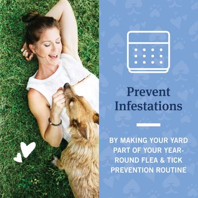 Show full view: PetArmor Home Yard & Premise Flea & Tick Spray Treatment, 32-fl oz bottle slide 5 of 7