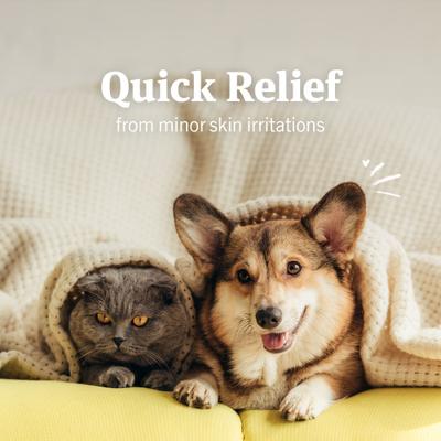 Show full view: PetArmor Hydrocortisone Quick Relief Spray for Dogs & Cats, 4-fl oz bottle slide 6 of 12