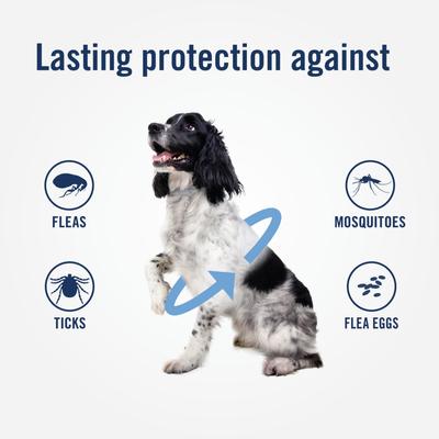 Show full view: PetArmor Plus Flea & Tick Collar for Dogs, 2 Collars (12-mos. supply) slide 4 of 7