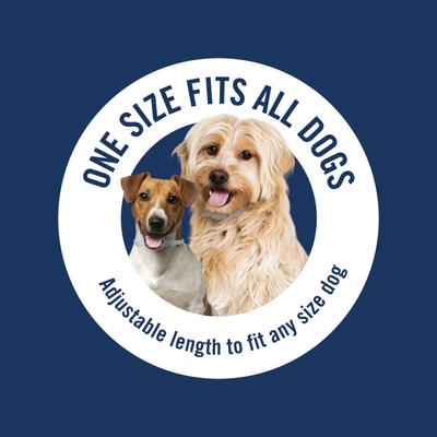 Show full view: PetArmor Plus Flea & Tick Collar for Dogs, 2 Collars (12-mos. supply) slide 5 of 7