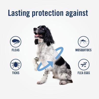 Show full view: PetArmor Plus Flea & Tick Dogs Collar, 1 collar (6-mos. supply) slide 4 of 6