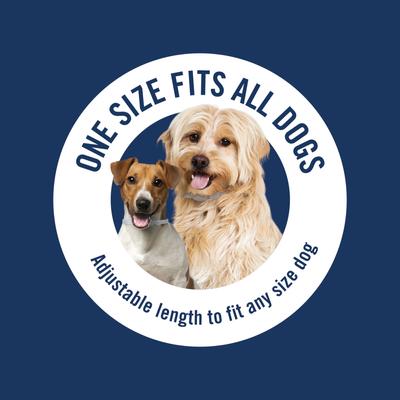 Show full view: PetArmor Plus Flea & Tick Dogs Collar, 1 collar (6-mos. supply) slide 5 of 6