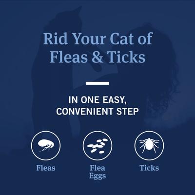 Show full view: PetArmor Plus Flea & Tick Shampoo for Cats, 12-fl oz bottle slide 5 of 7