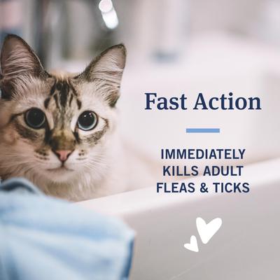 Show full view: PetArmor Plus Flea & Tick Shampoo for Cats, 12-fl oz bottle slide 6 of 7