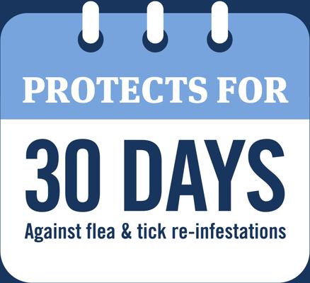 Show full view: PetArmor Plus Flea & Tick Spot Treatment for Cats, over 1.5 lbs, 1 count slide 4 of 11