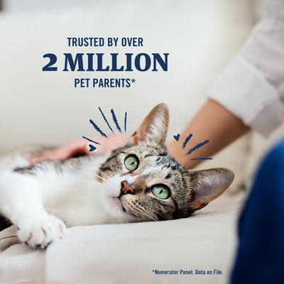 Show full view: PetArmor Plus Flea & Tick Spot Treatment for Cats, over 1.5 lbs, 1 count slide 7 of 11