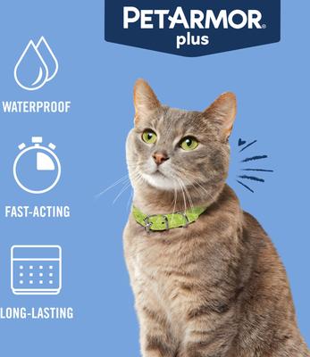 Show full view: PetArmor Plus Flea & Tick Spot Treatment for Cats, over 1.5 lbs, 3 Doses (3-mos. supply) slide 6 of 11