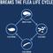 Show in main carousel: PetArmor Plus Flea & Tick Spot Treatment for Dogs, 23-44 lbs, 6 Doses (6-mos. supply) slide 5 of 11
