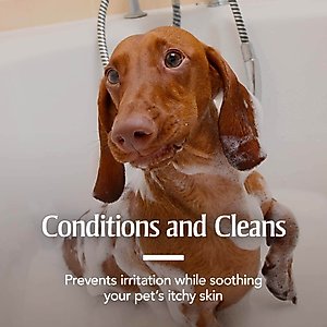 PetArmor Plus Oatmeal Shampoo for Dogs, 18-fl oz bottle