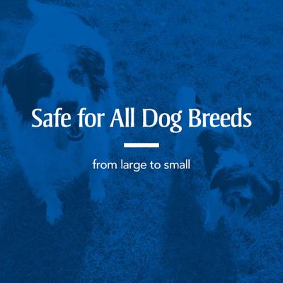 Show full view: PetArmor Sure Shot 2X Dewormer for Hookworms & Roundworms for Dogs, 2-fl oz bottle slide 5 of 8