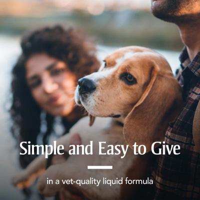 Show full view: PetArmor Sure Shot 2X Dewormer for Hookworms & Roundworms for Dogs, 2-fl oz bottle slide 6 of 8