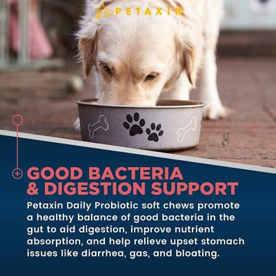 Show full view: Petaxin Daily Probiotic Chicken Flavor Grain-Free Dog Supplement, 120 count slide 3 of 9