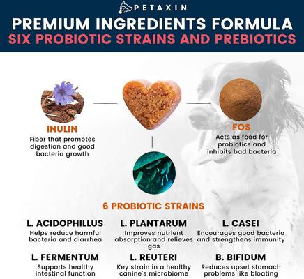 Show full view: Petaxin Daily Probiotic Chicken Flavor Grain-Free Dog Supplement, 120 count slide 5 of 9