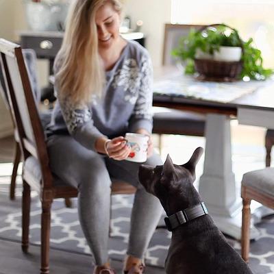 Show full view: Petaxin Daily Probiotic Chicken Flavor Grain-Free Dog Supplement, 120 count slide 8 of 9