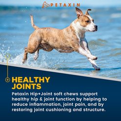 Petaxin Hip + Joint Support Beef Flavor Grain-Free Dog Supplement, 120 count slide 2 of 7