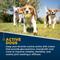Show in main carousel: Petaxin Hip + Joint Support Beef Flavor Grain-Free Dog Supplement, 120 count slide 4 of 9