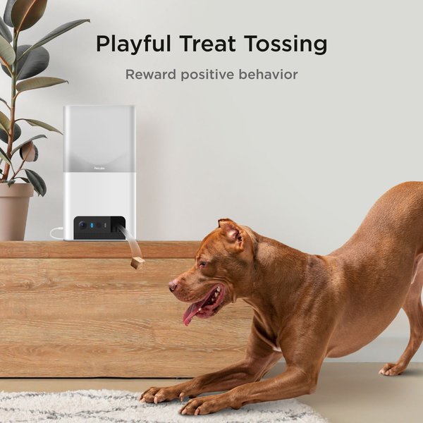 Petcube Bites 2 Lite Interactive WiFi Pet Monitoring Treat Dispenser Camera