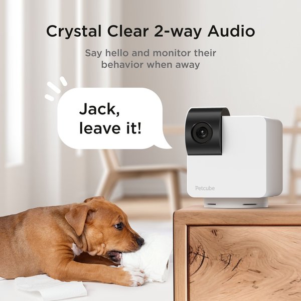 Wi Fi Dog Way Camera Without Subscription Petcube Play Wi-Fi Pet