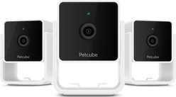Petcube Cam HD Monitoring with Vet Chat Pet Camera, 3 count