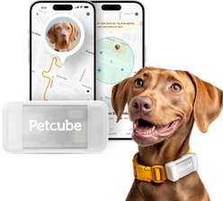 Petcube Dog GPS Tracker & Activity Monitor