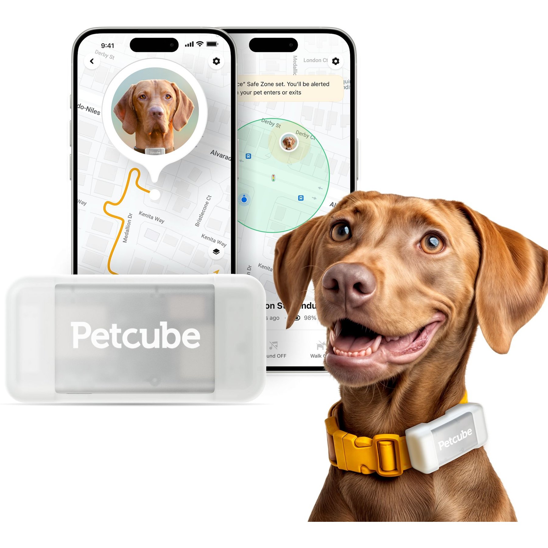 Petcube Dog GPS Tracker & Activity Monitor