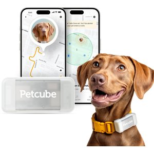 Petcube Dog GPS Tracker & Activity Monitor