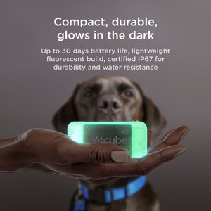 Petcube Dog GPS Tracker & Activity Monitor
