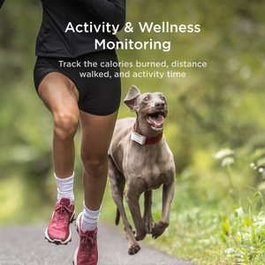 Petcube Dog GPS Tracker & Activity Monitor