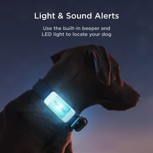 Petcube Dog GPS Tracker & Activity Monitor