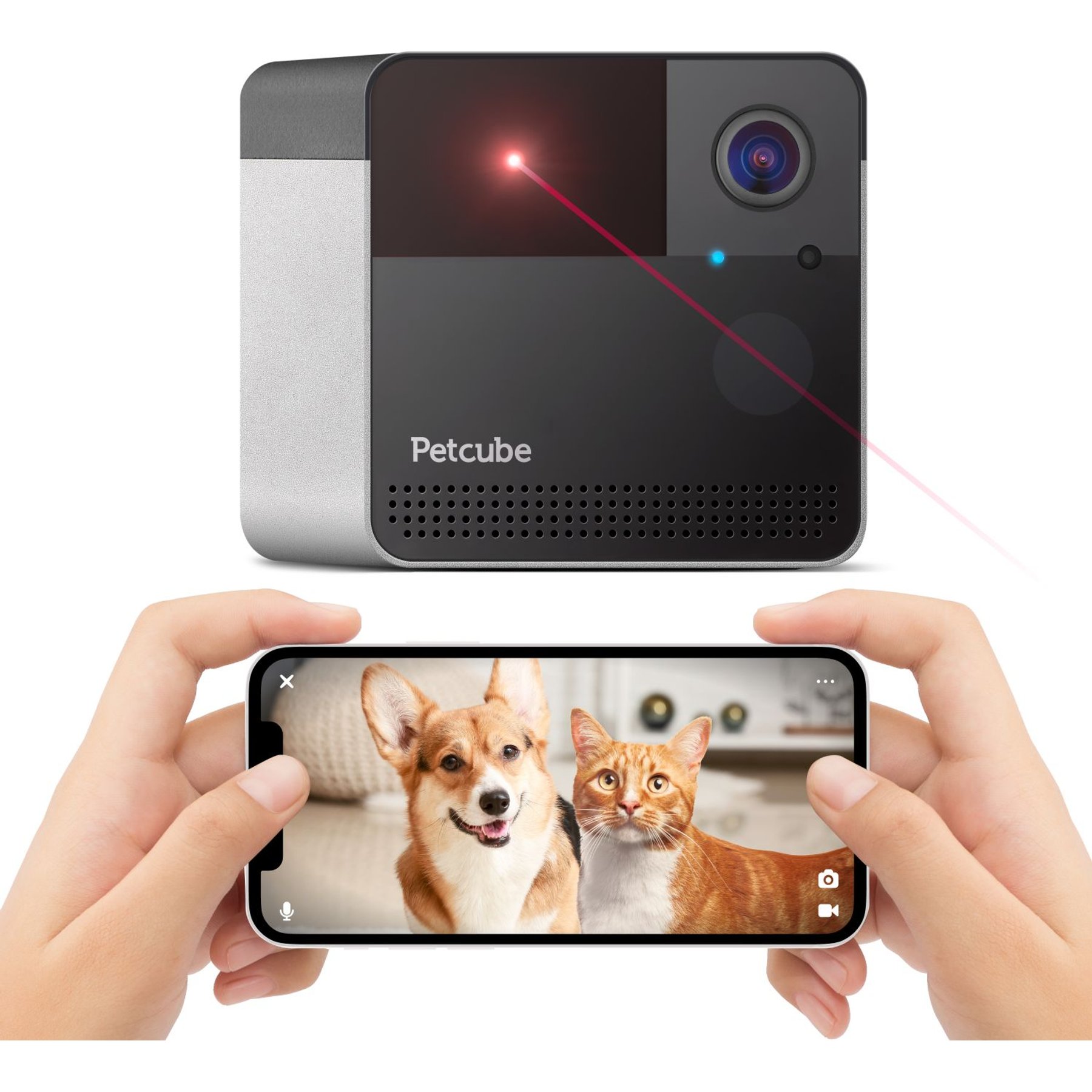 PETCUBE Play 2 Play Wi-Fi Pet Camera, Matte Silver - Chewy.com