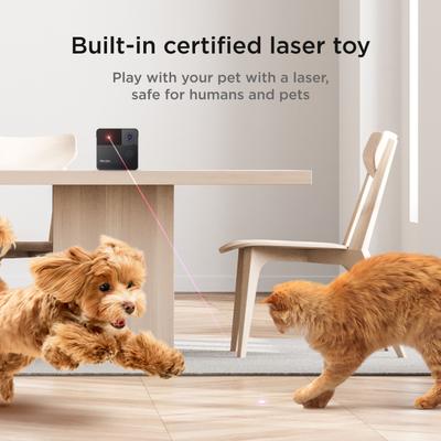Show full view: Petcube Play 2 Play Wi-Fi Pet Camera, Matte Silver slide 2 of 7