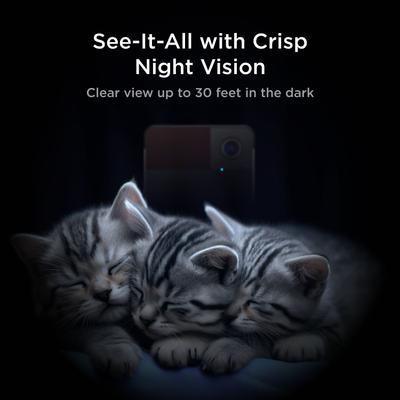 Show full view: Petcube Play 2 Play Wi-Fi Pet Camera, Matte Silver slide 5 of 7