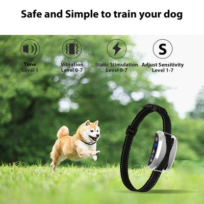 Show full view: Petdiary Rechargeable Static Dog Bark Collar, Silver slide 2 of 8