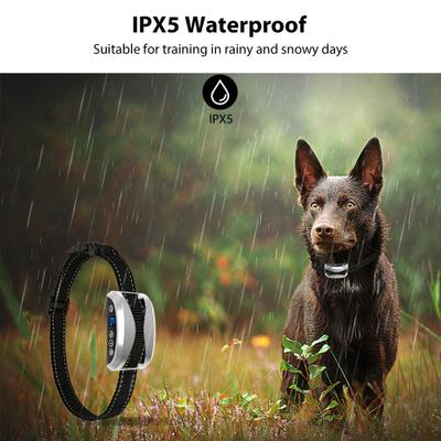 Show full view: Petdiary Rechargeable Static Dog Bark Collar, Silver slide 3 of 8