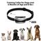 Show in main carousel: Petdiary Rechargeable Static Dog Bark Collar, Silver slide 4 of 8